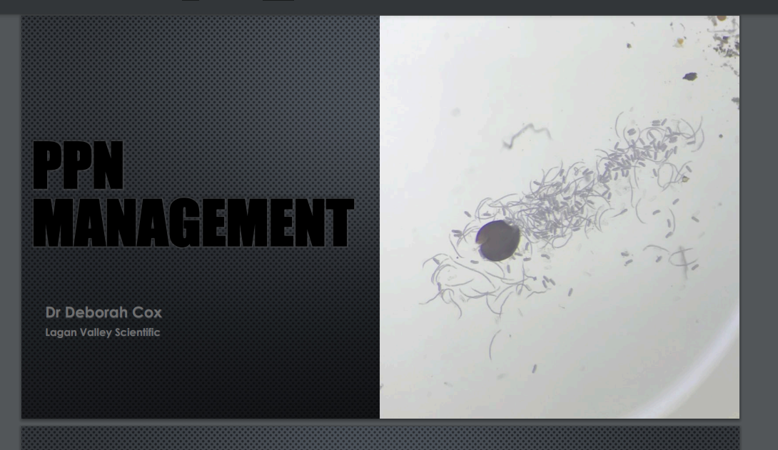 2022 Pitch Management Workshop Seville, Lagan Vellay Scientific, Dr. Deborah Cox