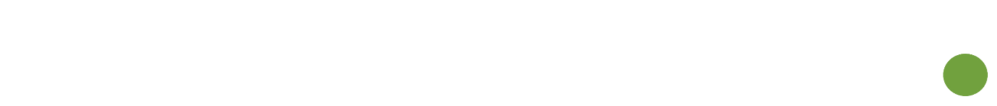 The Stadium Network